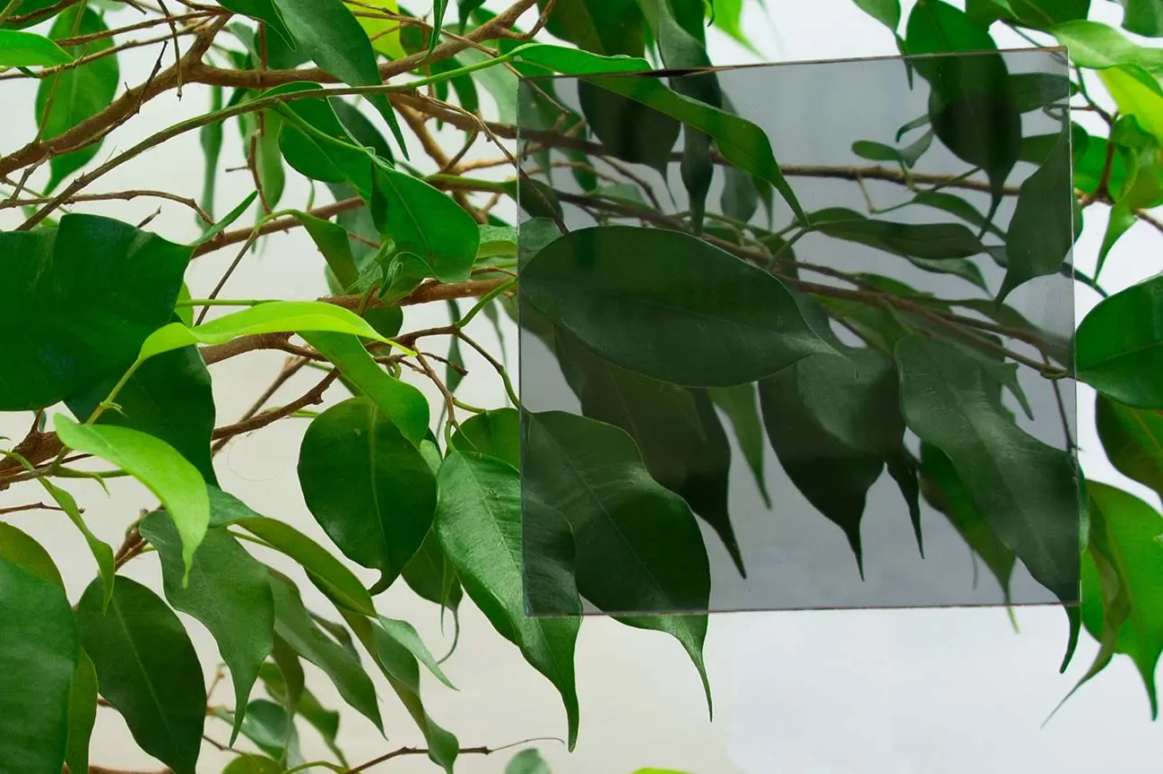 Ett kvadratiskt ark av genomskinligt, tonat material placeras framför gröna blad och gör de blad som syns genom det subtilt mörkare.